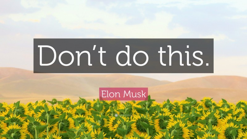 Elon Musk Quote: “Don’t do this.”