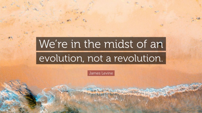 James Levine Quote: “We’re in the midst of an evolution, not a revolution.”