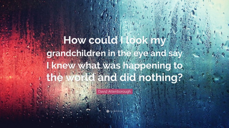 David Attenborough Quote: “How could I look my grandchildren in the eye and say I knew what was happening to the world and did nothing?”
