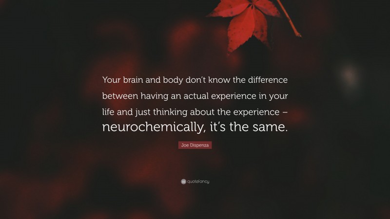 Joe Dispenza Quote: “Your brain and body don’t know the difference between having an actual experience in your life and just thinking about the experience – neurochemically, it’s the same.”