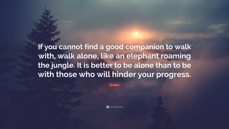 Buddha Quote: “If you cannot find a good companion to walk with, walk alone, like an elephant roaming the jungle. It is better to be alone than to be with those who will hinder your progress.”