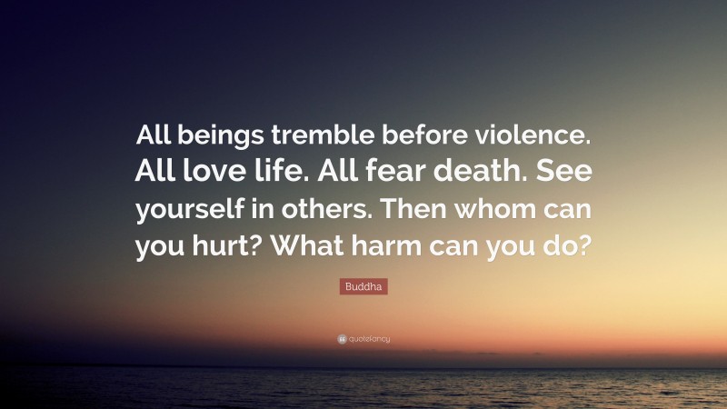 Buddha Quote: “All beings tremble before violence. All love life. All fear death. See yourself in others. Then whom can you hurt? What harm can you do?”
