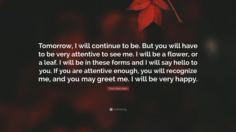 Thich Nhat Hanh Quote: “Tomorrow, I will continue to be. But you will have to be very attentive to see me. I will be a flower, or a leaf. I will be in these forms and I will say hello to you. If you are attentive enough, you will recognize me, and you may greet me. I will be very happy.”
