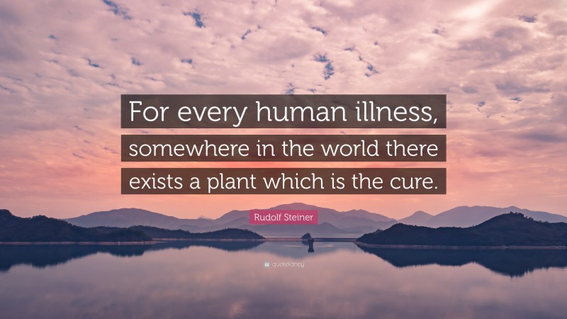Rudolf Steiner Quote: “For every human illness, somewhere in the world there exists a plant which is the cure.”