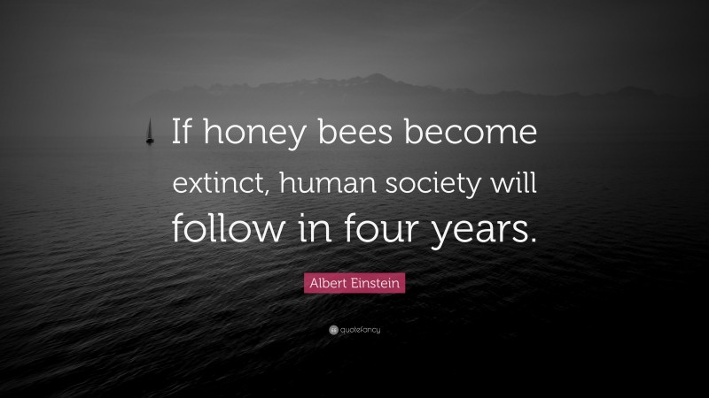Albert Einstein Quote: “If honey bees become extinct, human society will follow in four years.”
