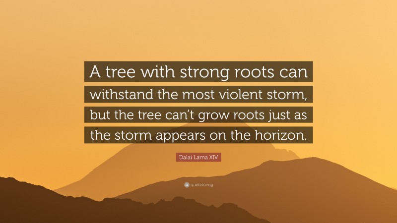 Dalai Lama XIV Quote: “A tree with strong roots can withstand the most violent storm, but the tree can’t grow roots just as the storm appears on the horizon.”
