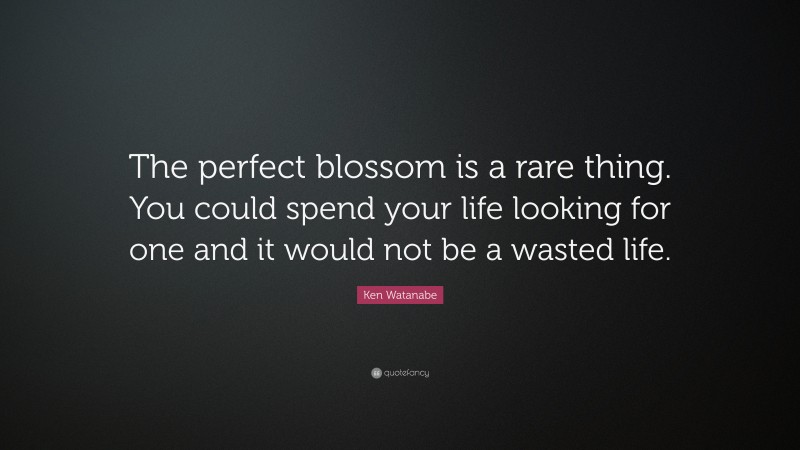Ken Watanabe Quote: “The perfect blossom is a rare thing. You could spend your life looking for one and it would not be a wasted life.”
