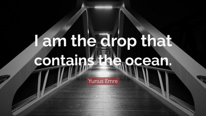 Yunus Emre Quote: “I am the drop that contains the ocean.”