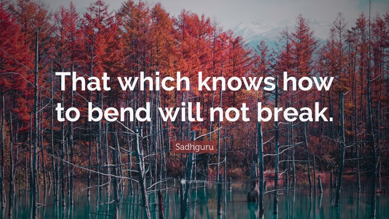 Sadhguru Quote: “That which knows how to bend will not break.”