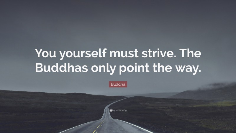 Buddha Quote: “You yourself must strive. The Buddhas only point the way.”