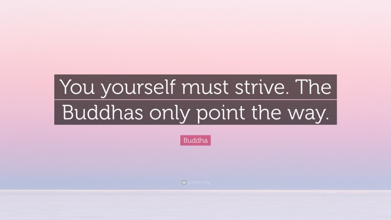 Buddha Quote: “You yourself must strive. The Buddhas only point the way.”