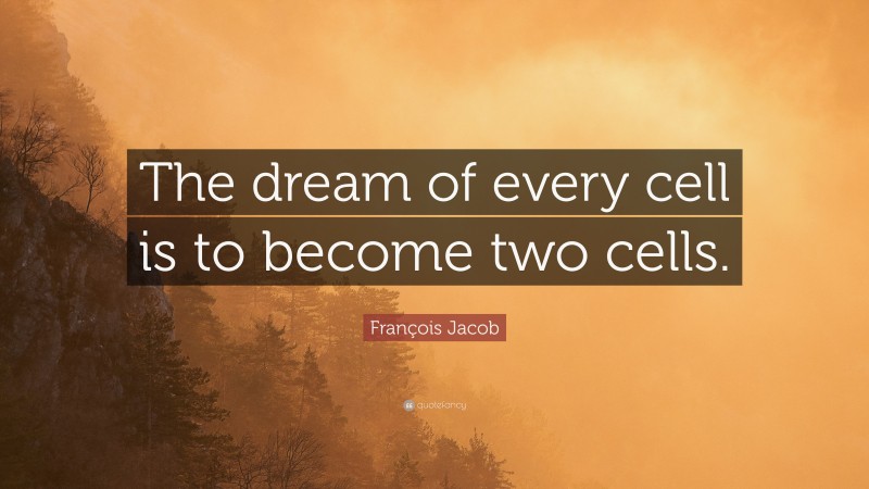 François Jacob Quote: “The dream of every cell is to become two cells.”