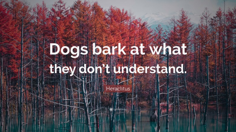Heraclitus Quote: “Dogs bark at what they don’t understand.”
