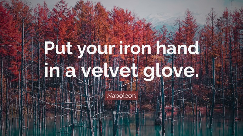 Napoleon Quote: “Put your iron hand in a velvet glove.”