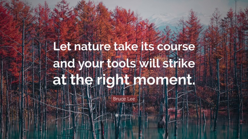 Bruce Lee Quote: “Let nature take its course and your tools will strike at the right moment.”