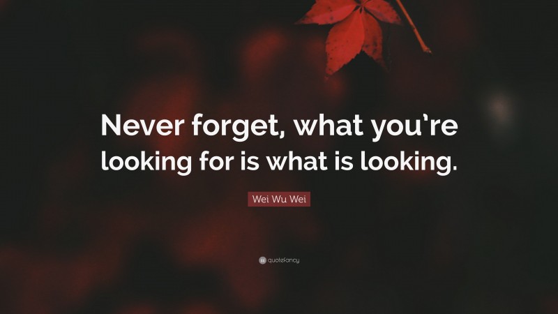 Wei Wu Wei Quote: “Never forget, what you’re looking for is what is looking.”