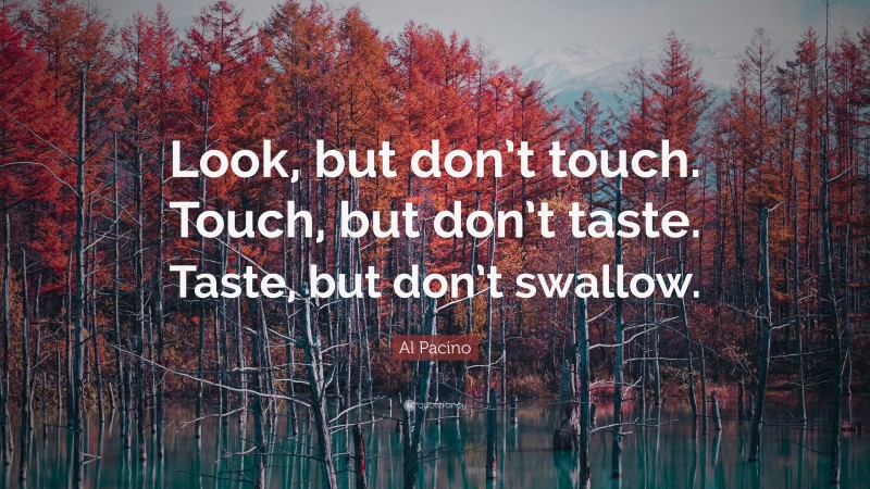 Al Pacino Quote: “Look, but don’t touch. Touch, but don’t taste. Taste, but don’t swallow.”