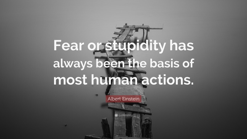 Albert Einstein Quote: “Fear or stupidity has always been the basis of most human actions.”