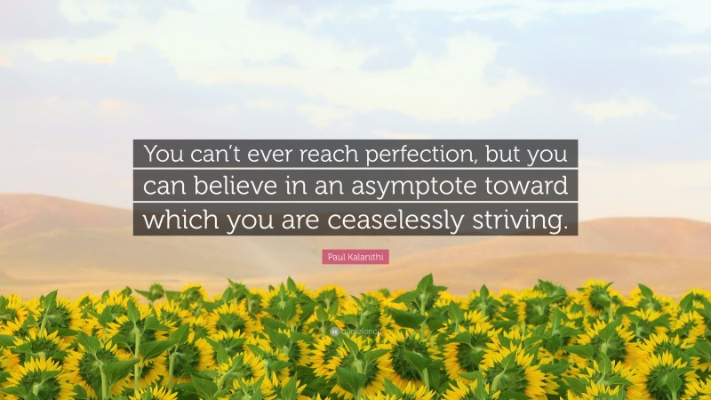 Paul Kalanithi Quote: “You can’t ever reach perfection, but you can believe in an asymptote toward which you are ceaselessly striving.”