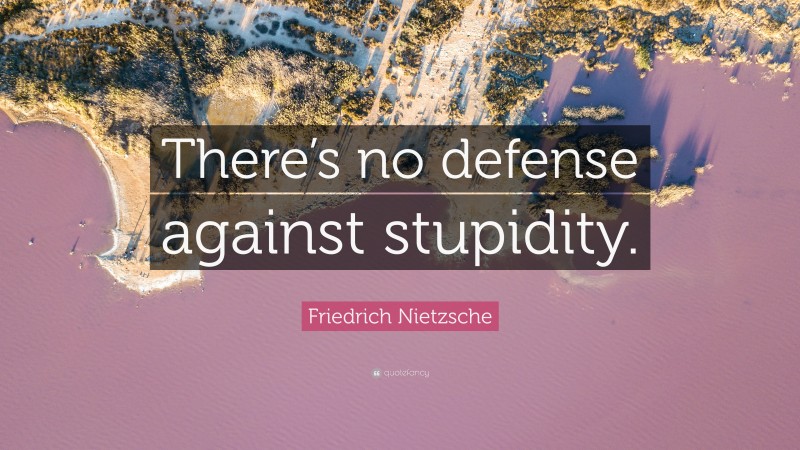 Friedrich Nietzsche Quote: “There’s no defense against stupidity.”