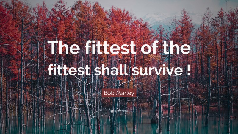 Bob Marley Quote: “The fittest of the fittest shall survive !”