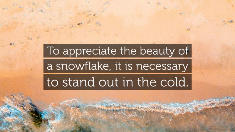 “To appreciate the beauty of a snowflake, it is necessary to stand out in the cold.” — Desktop Wallpaper