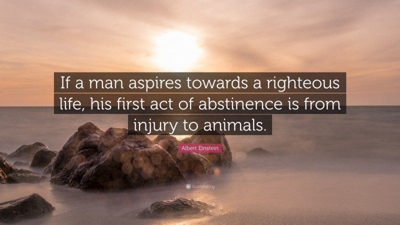 Albert Einstein Quote: “If a man aspires towards a righteous life, his first act of abstinence is from injury to animals.”