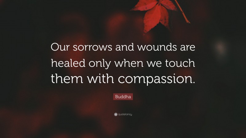 Buddha Quote: “Our sorrows and wounds are healed only when we touch them with compassion.”