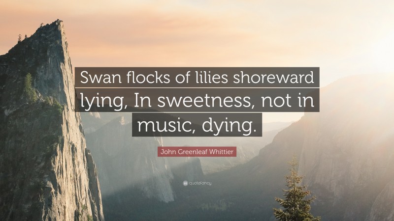 John Greenleaf Whittier Quote: “Swan flocks of lilies shoreward lying, In sweetness, not in music, dying.”