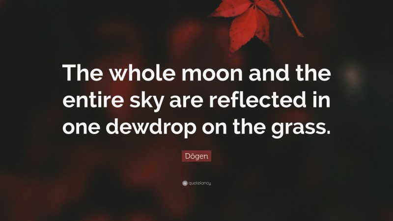Dōgen Quote: “The whole moon and the entire sky are reflected in one dewdrop on the grass.”