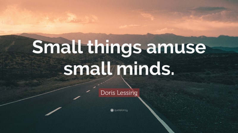 Doris Lessing Quote: “Small things amuse small minds.”
