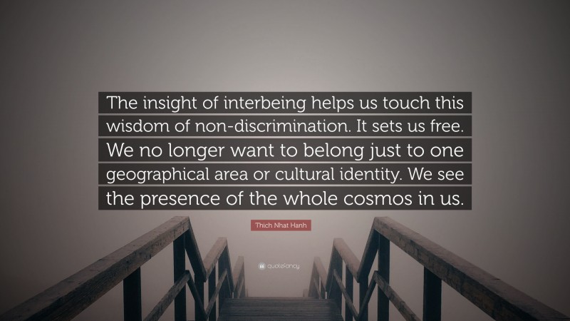 Thich Nhat Hanh Quote: “The insight of interbeing helps us touch this wisdom of non-discrimination. It sets us free. We no longer want to belong just to one geographical area or cultural identity. We see the presence of the whole cosmos in us.”