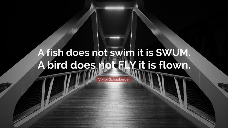 Viktor Schauberger Quote: “A fish does not swim it is SWUM. A bird does not FLY it is flown.”