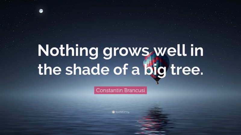 Constantin Brancusi Quote: “Nothing grows well in the shade of a big tree.”