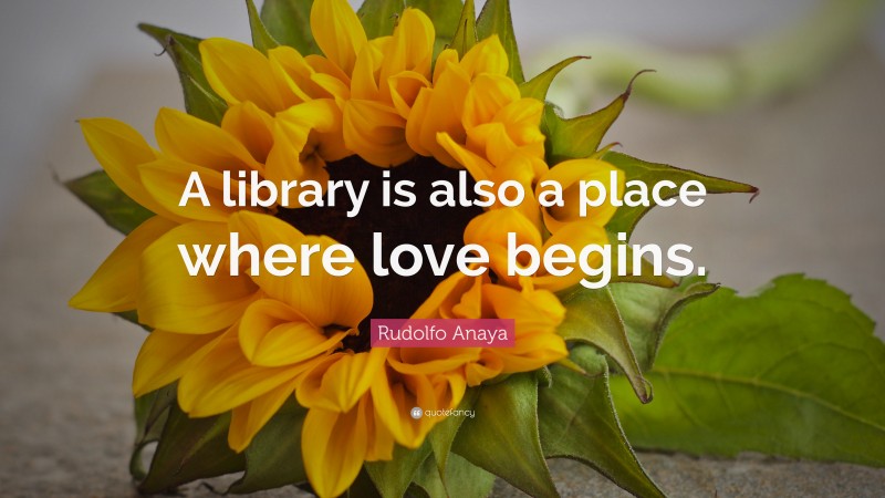 Rudolfo Anaya Quote: “A library is also a place where love begins.”