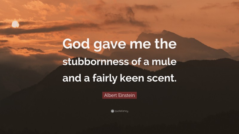 Albert Einstein Quote: “God gave me the stubbornness of a mule and a fairly keen scent.”
