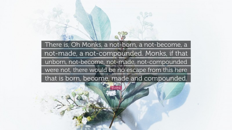 Buddha Quote: “There is, Oh Monks, a not-born, a not-become, a not-made, a not-compounded. Monks, if that unborn, not-become, not-made, not-compounded were not, there would be no escape from this here that is born, become, made and compounded.”