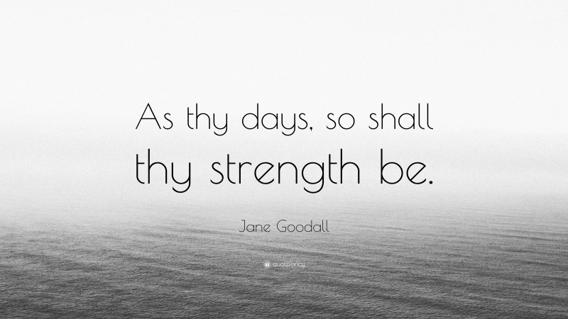 Jane Goodall Quote: “As thy days, so shall thy strength be.”