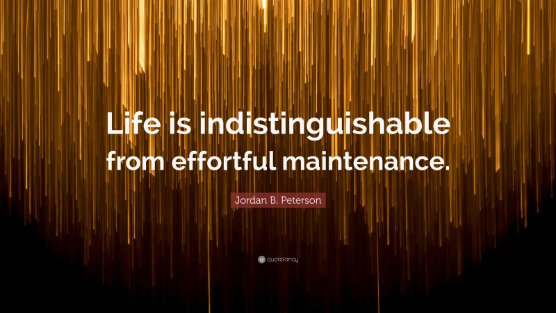 Jordan B. Peterson Quote: “Life is indistinguishable from effortful maintenance.”