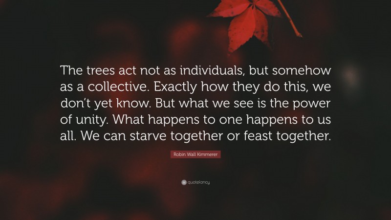 Robin Wall Kimmerer Quote: “The trees act not as individuals, but somehow as a collective. Exactly how they do this, we don’t yet know. But what we see is the power of unity. What happens to one happens to us all. We can starve together or feast together.”