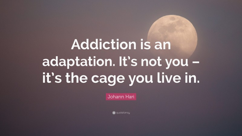 Johann Hari Quote: “Addiction is an adaptation. It’s not you – it’s the cage you live in.”