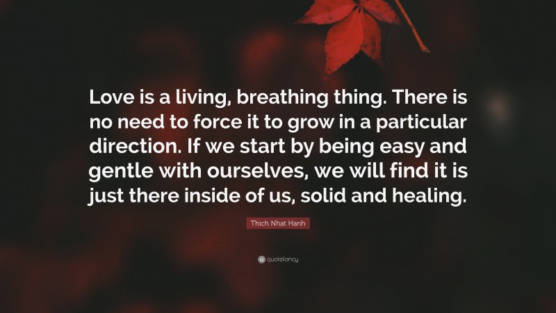 Thich Nhat Hanh Quote: “Love is a living, breathing thing. There is no need to force it to grow in a particular direction. If we start by being easy and gentle with ourselves, we will find it is just there inside of us, solid and healing.”