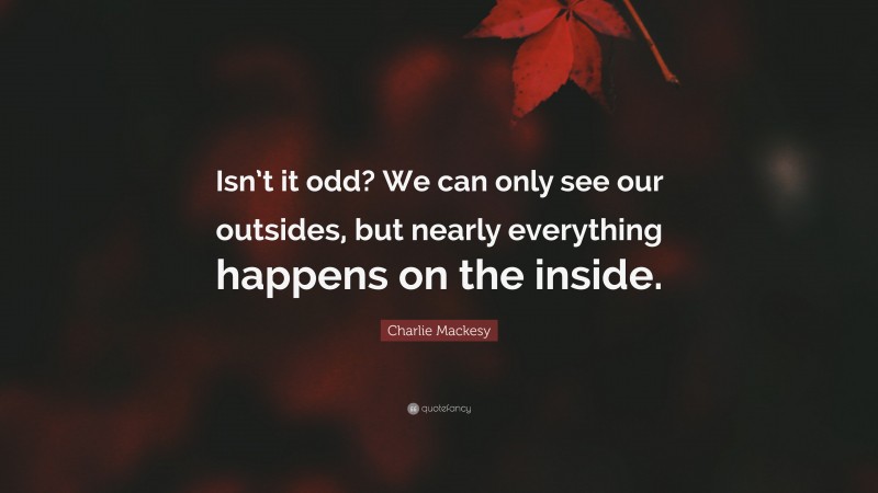 Charlie Mackesy Quote: “Isn’t it odd? We can only see our outsides, but nearly everything happens on the inside.”