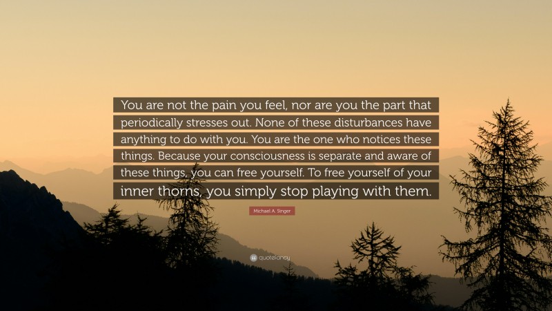 Michael A. Singer Quote: “You are not the pain you feel, nor are you the part that periodically stresses out. None of these disturbances have anything to do with you. You are the one who notices these things. Because your consciousness is separate and aware of these things, you can free yourself. To free yourself of your inner thorns, you simply stop playing with them.”