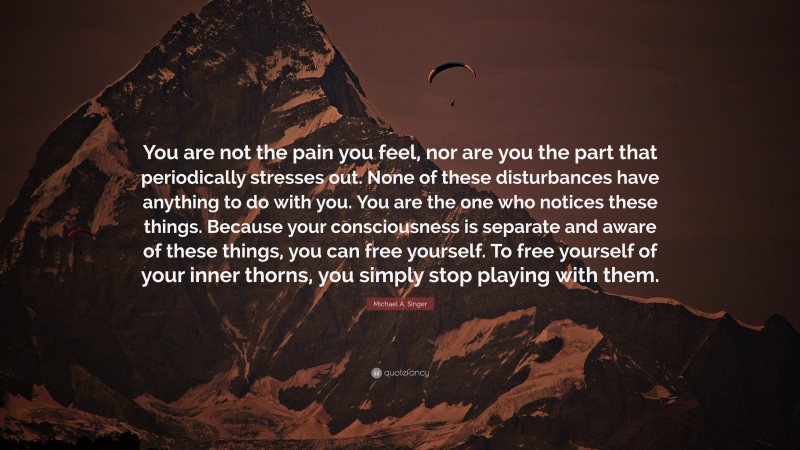 Michael A. Singer Quote: “You are not the pain you feel, nor are you the part that periodically stresses out. None of these disturbances have anything to do with you. You are the one who notices these things. Because your consciousness is separate and aware of these things, you can free yourself. To free yourself of your inner thorns, you simply stop playing with them.”
