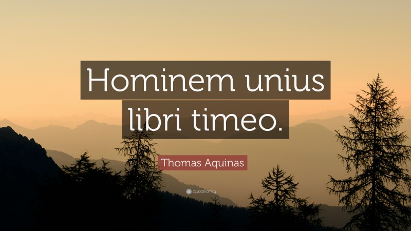 Thomas Aquinas Quote: “Hominem unius libri timeo.”