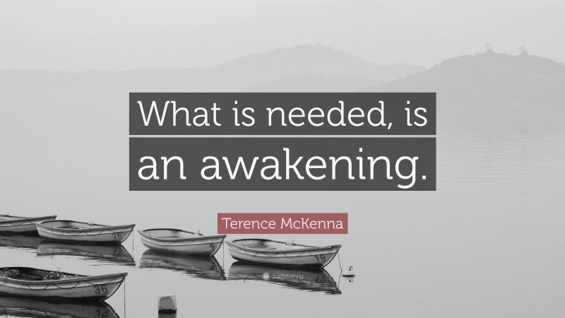 Terence McKenna Quote: “What is needed, is an awakening.”