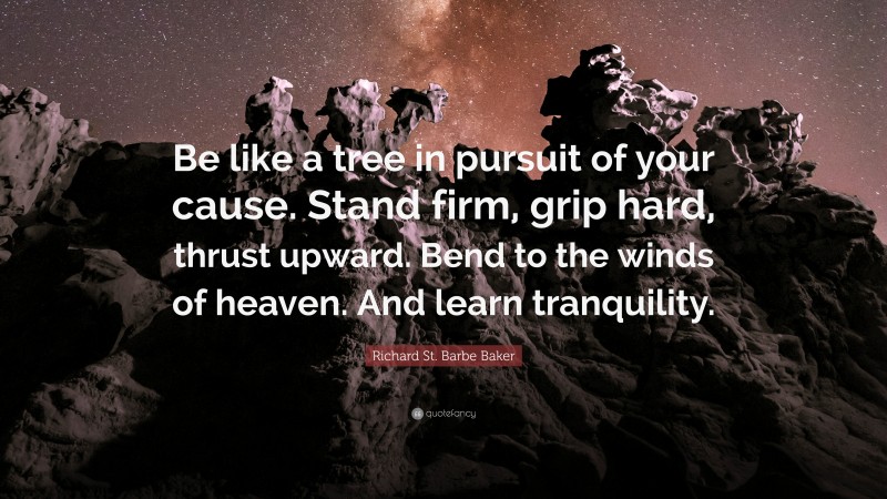Richard St. Barbe Baker Quote: “Be like a tree in pursuit of your cause. Stand firm, grip hard, thrust upward. Bend to the winds of heaven. And learn tranquility.”