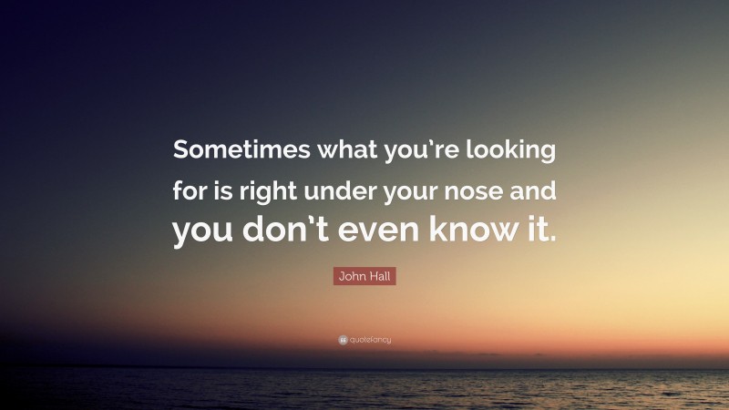 John Hall Quote: “Sometimes what you’re looking for is right under your nose and you don’t even know it.”