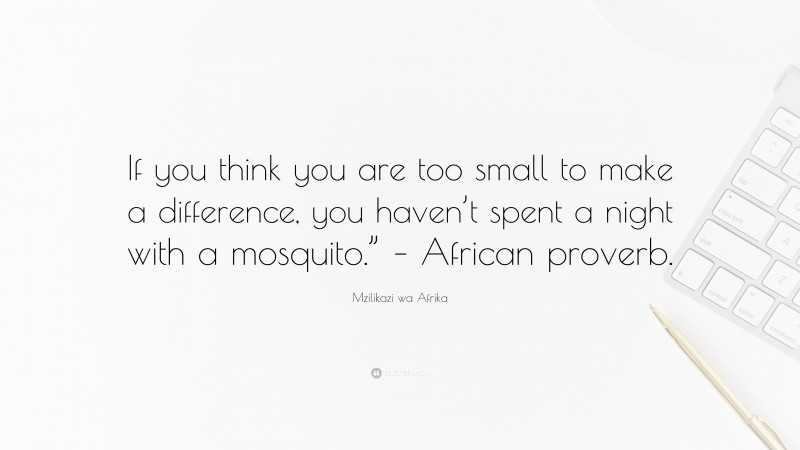 Mzilikazi wa Afrika Quote: “If you think you are too small to make a difference, you haven’t spent a night with a mosquito.” – African proverb.”